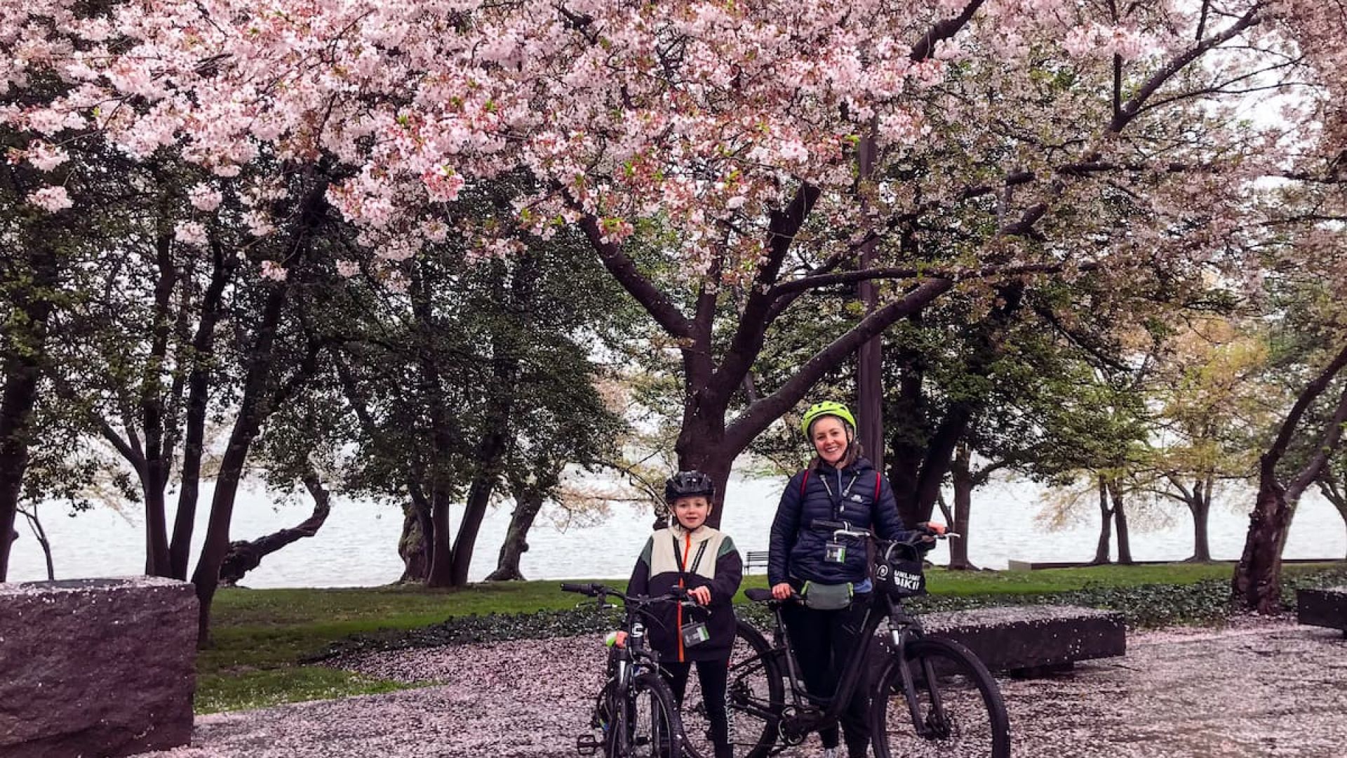 Cherry Blossoms Bike Tour