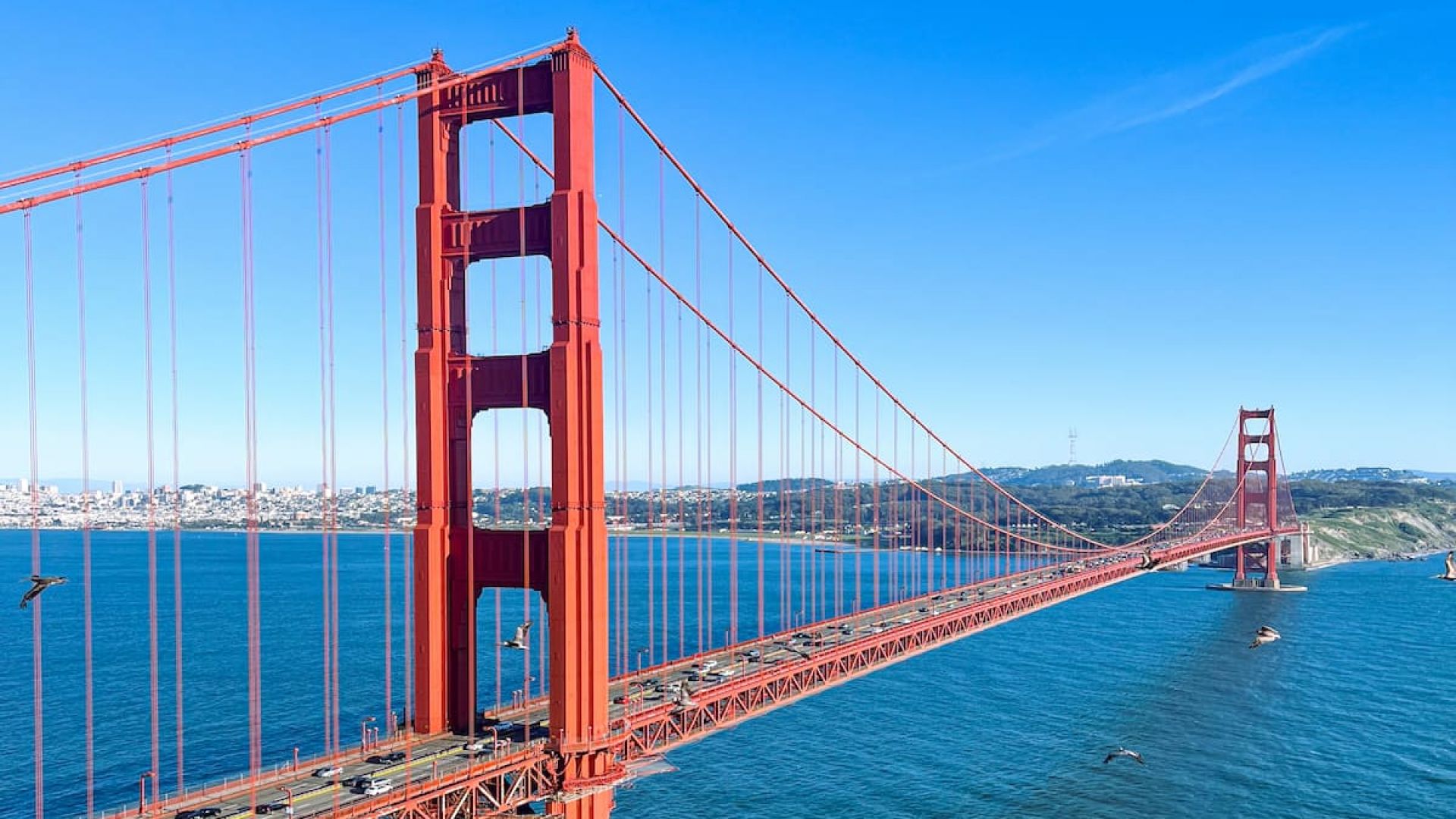 Best of San Francisco eBike Tour 4hrs