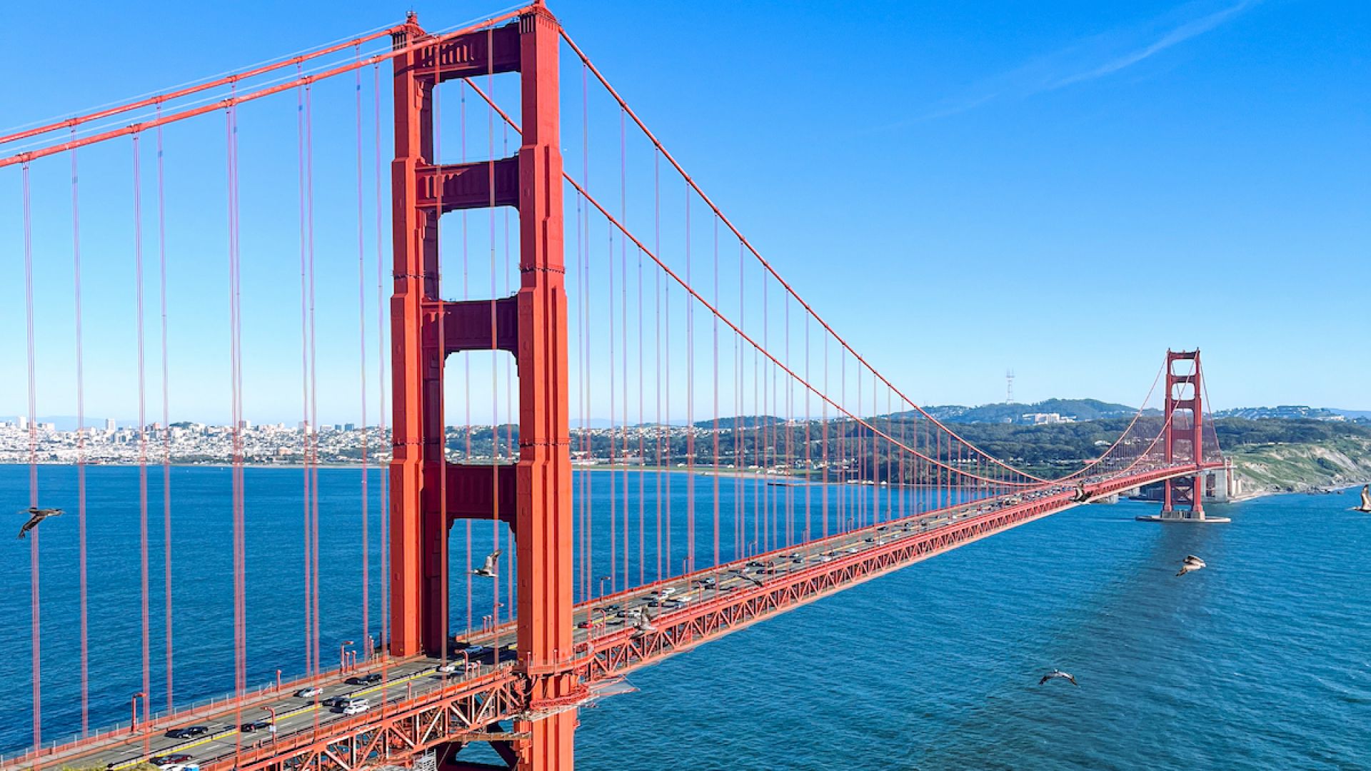 San Francisco eBike Rentals (2Hrs)