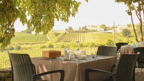 Douro Valley Wine Tour
