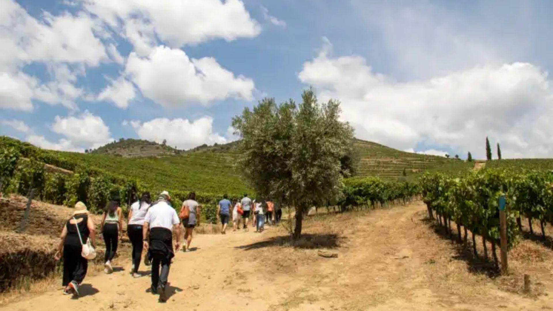 Douro Historical Tour