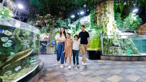Dubai Aquarium & Underwater Zoo - Aqua Nursery - General Admission