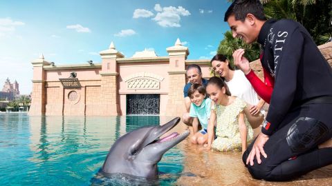 Dolphin Meet & Greet at Atlantis