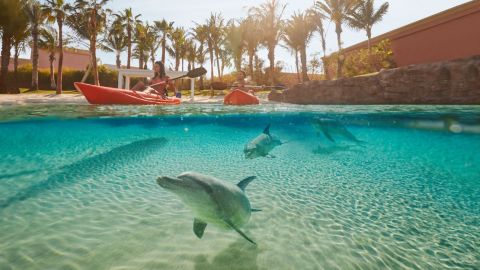 Atlantis Dolphin Kayak