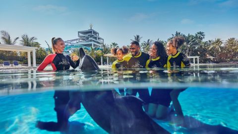 Atlantis Dolphin Encounter for In House guest - Non OTA