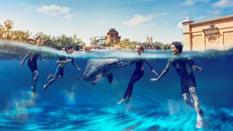 Atlantis, The Palm - Dolphin Experiences and Aquaventure Waterpark