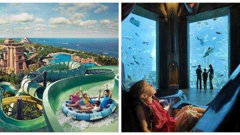 Atlantis Aquaventure - One Day Superpass (TRIDENT PASS)