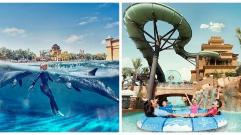 Atlantis, The Palm - Dolphin Experiences and Aquaventure Waterpark