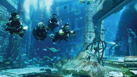 Atlantis Explorer Certified Scuba Dive