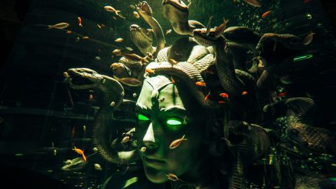 The Lost World Aquarium - Non OTA