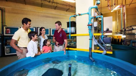 Interactive Lost World Aquarium + Behind the Scenes Tour