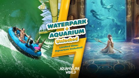 Atlantis Aquaventure - One Day Superpass 