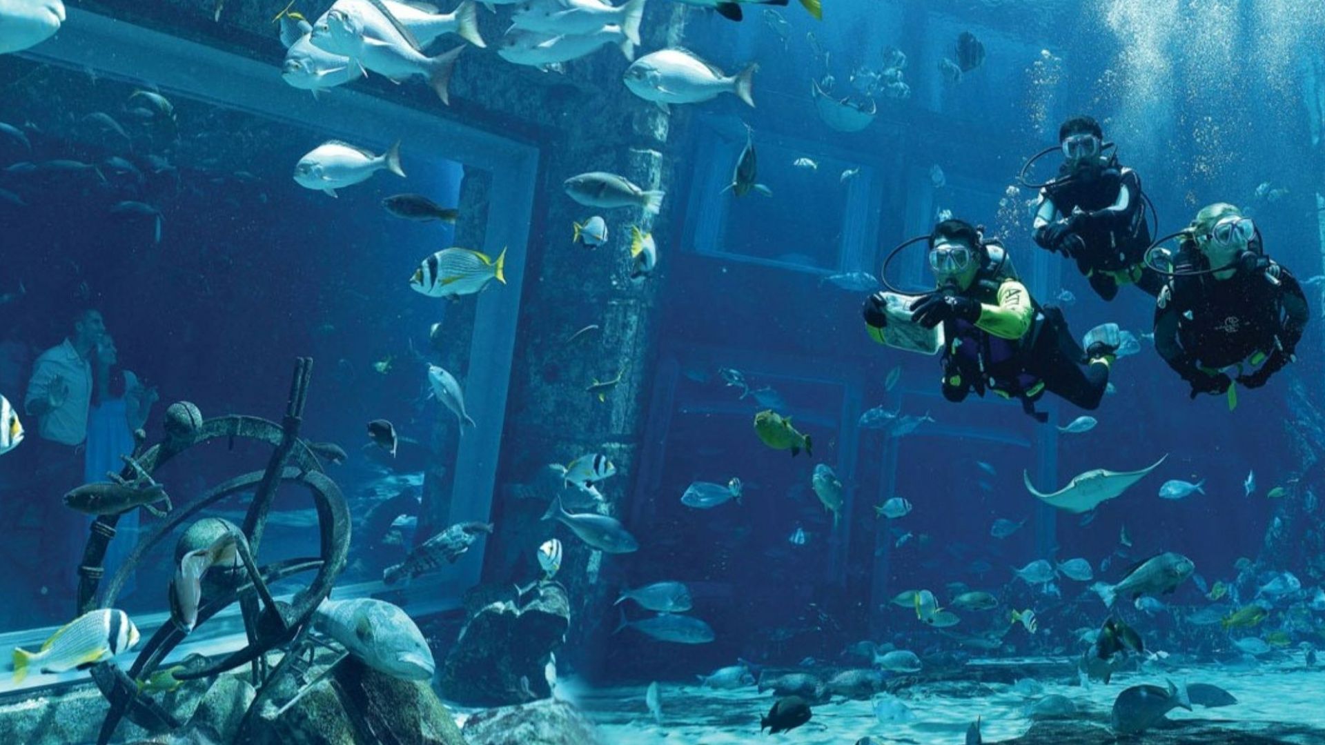 Atlantis Explorer Certified Scuba Dive