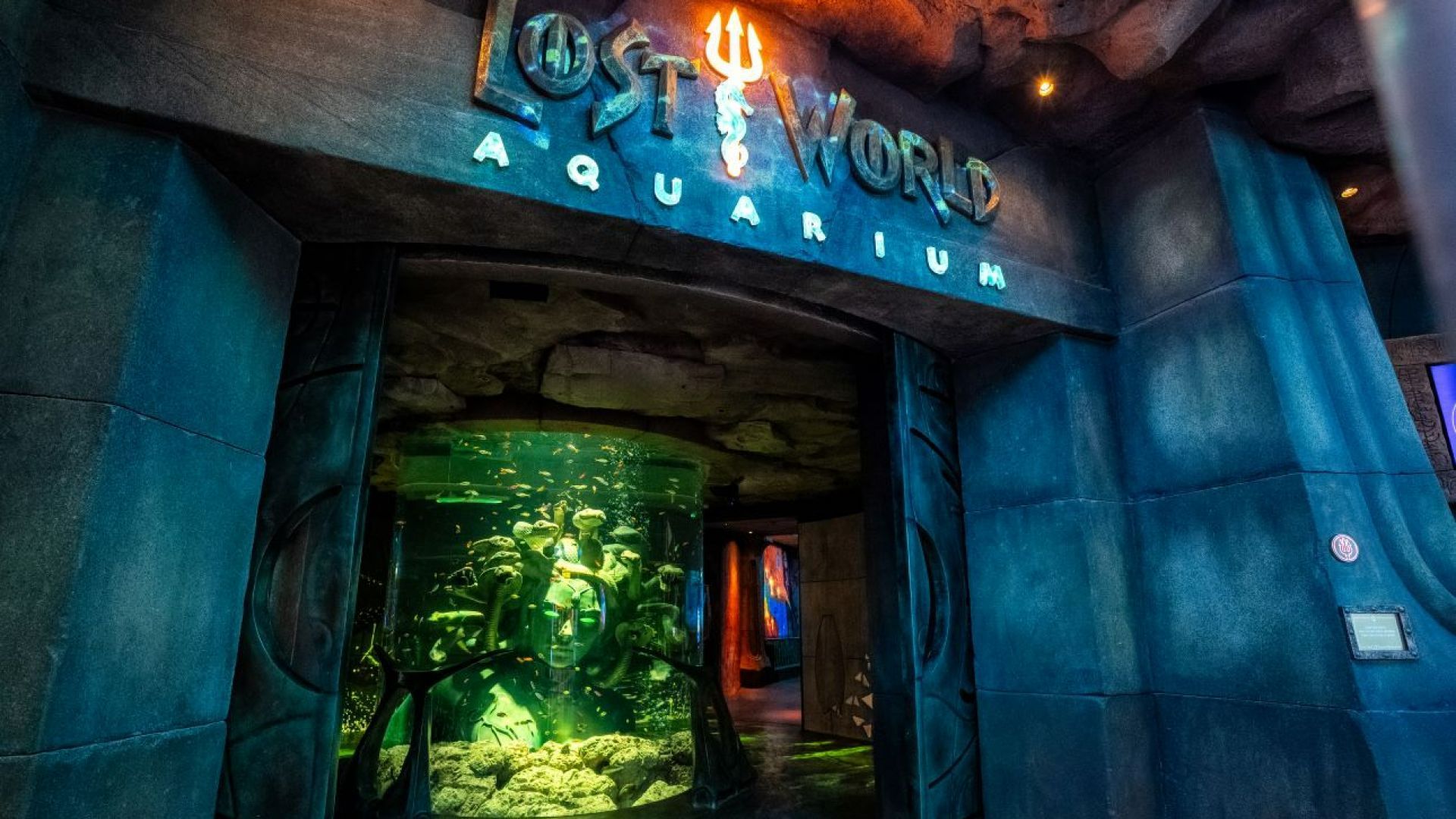 Aquaventure Waterpark + Interactive Lost World Aquarium