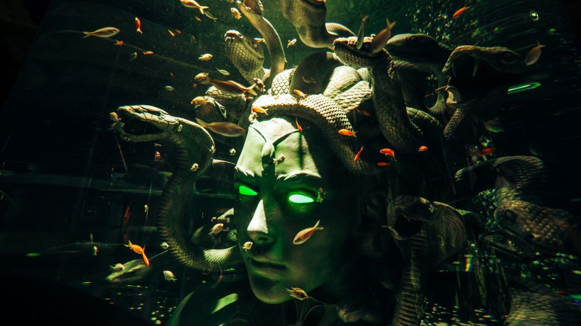 Aquaventure Waterpark + Interactive Lost World Aquarium