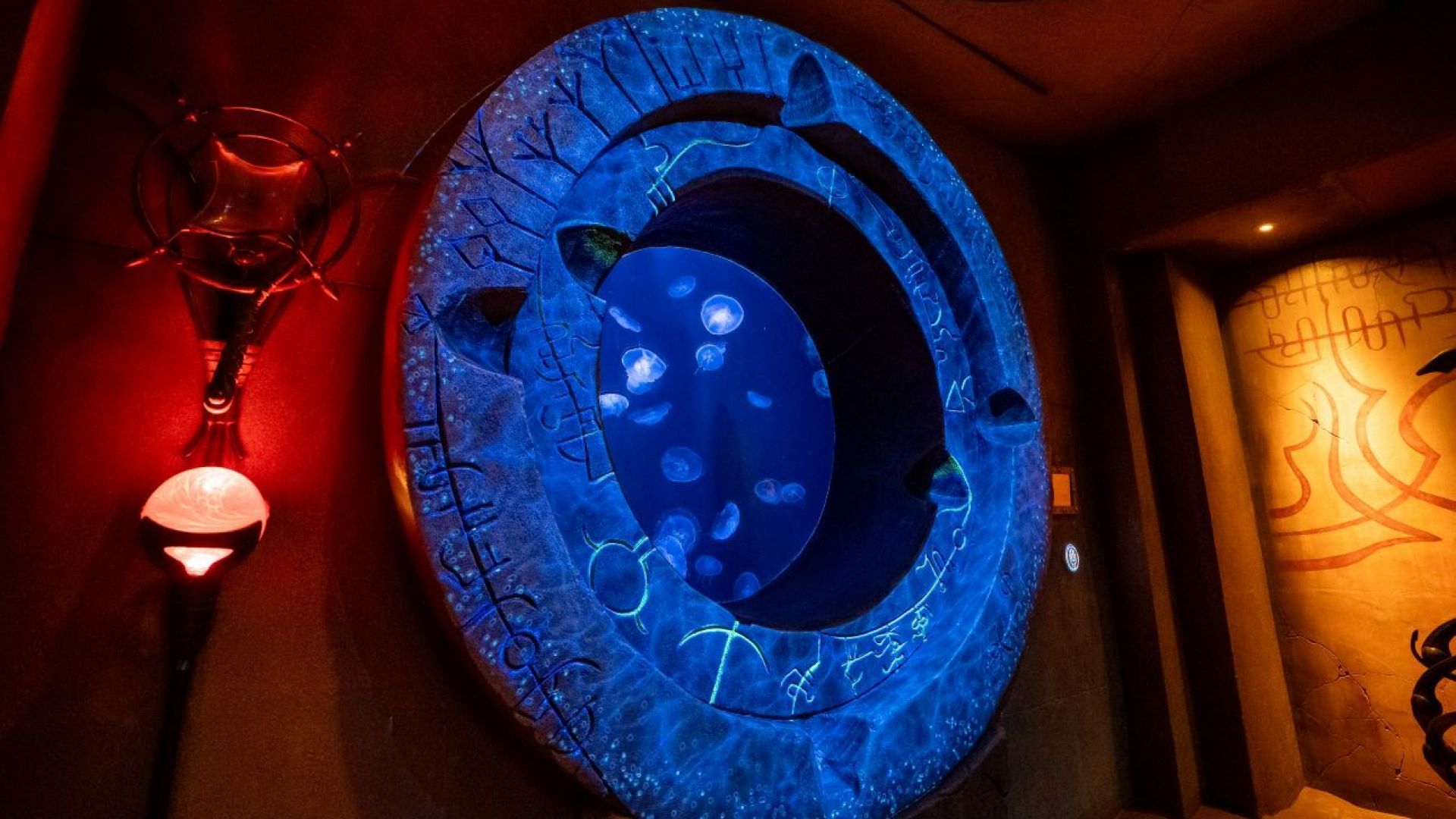 Interactive Lost World Aquarium + Behind the Scenes Tour