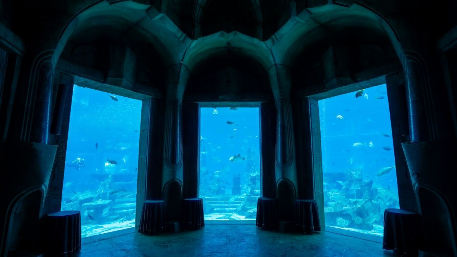 Interactive Lost World Aquarium + Behind the Scenes Tour