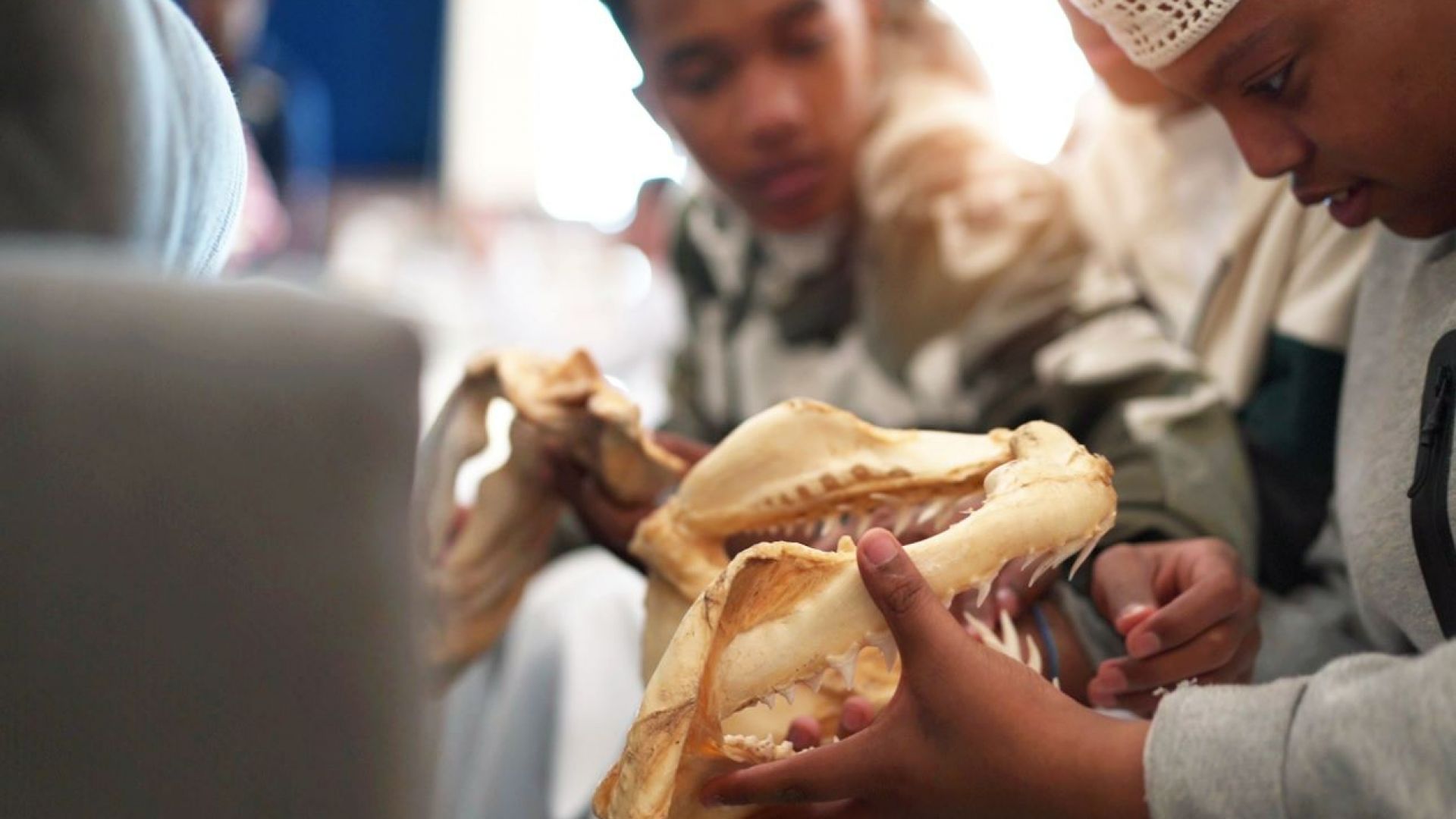 Interactive Lost World Aquarium + Behind the Scenes Tour