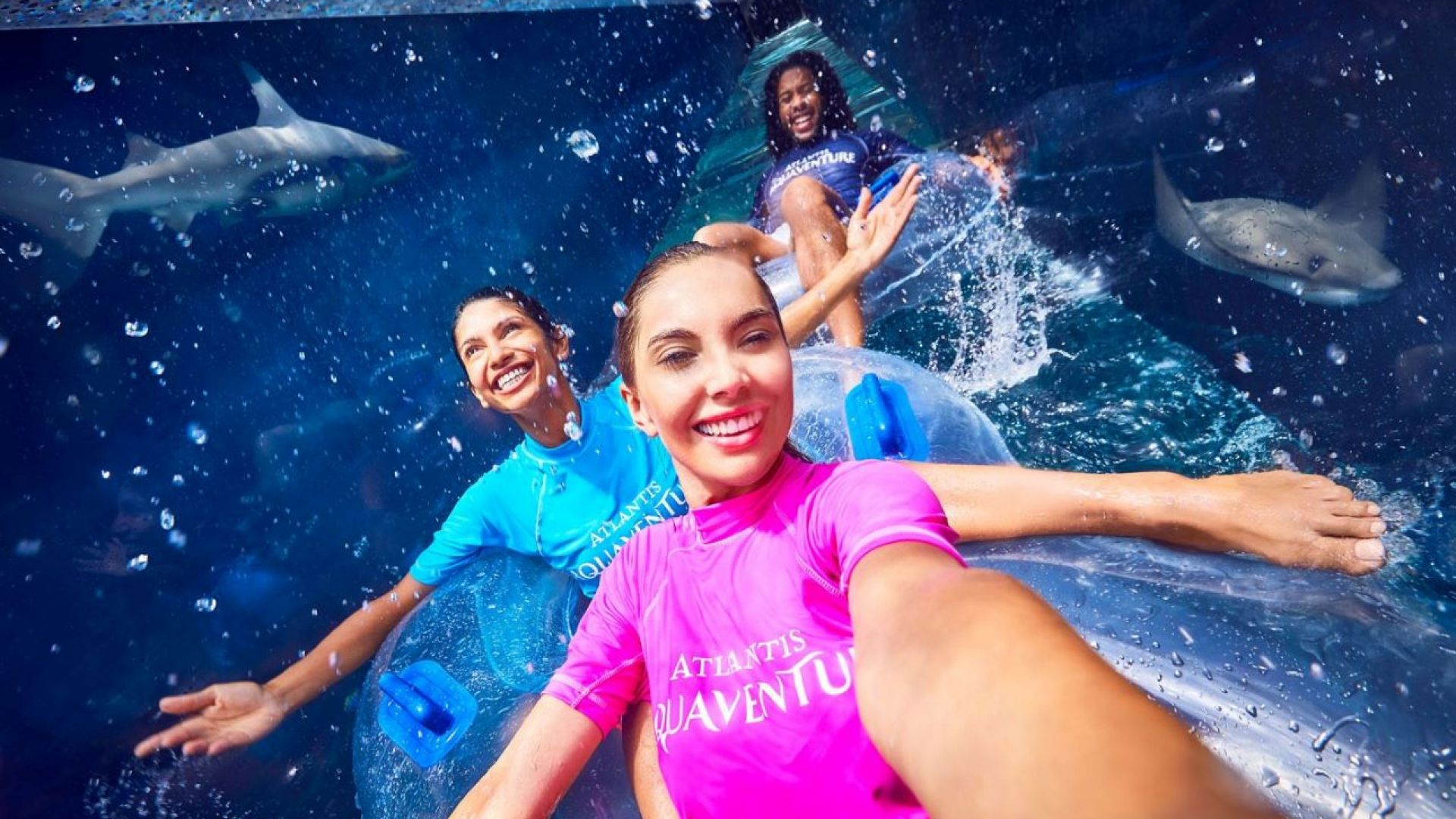 Aquaventure Waterpark + Interactive Lost World Aquarium