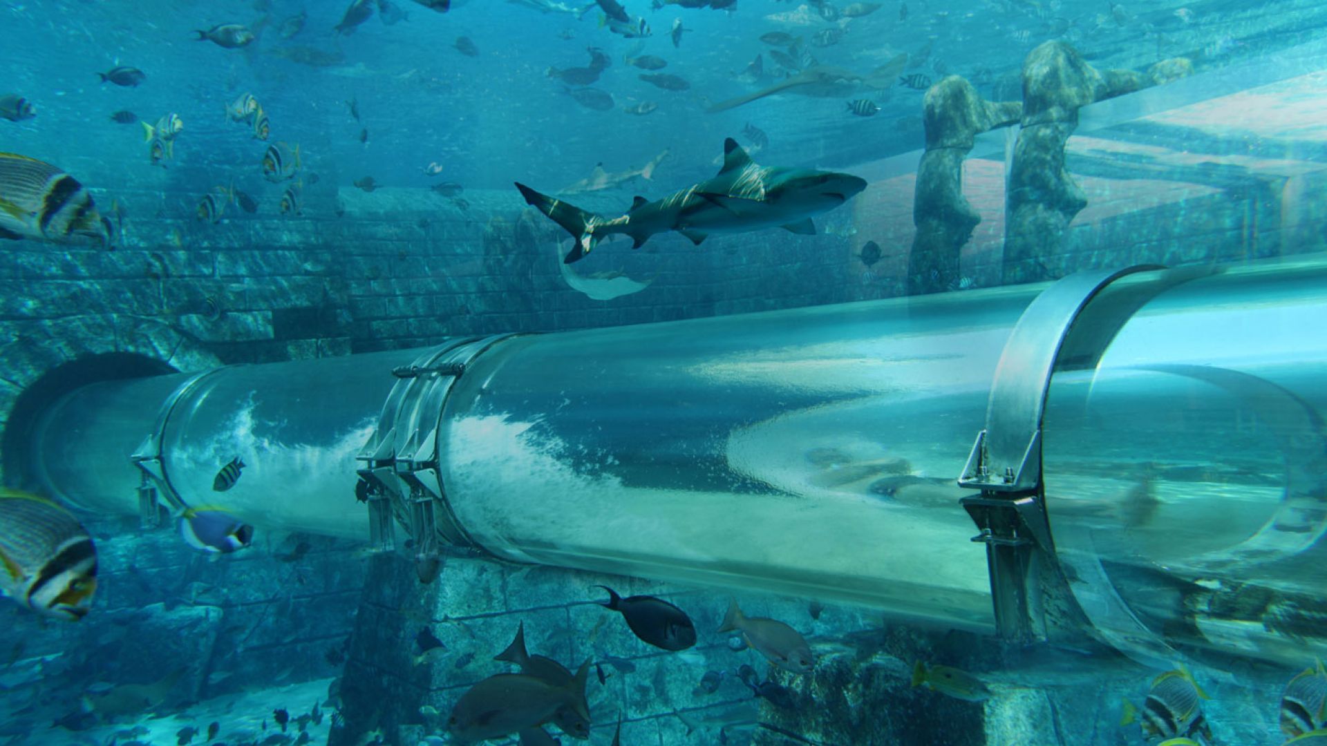 Atlantis Aquaventure Waterpark Day Pass with Lost World Aquarium