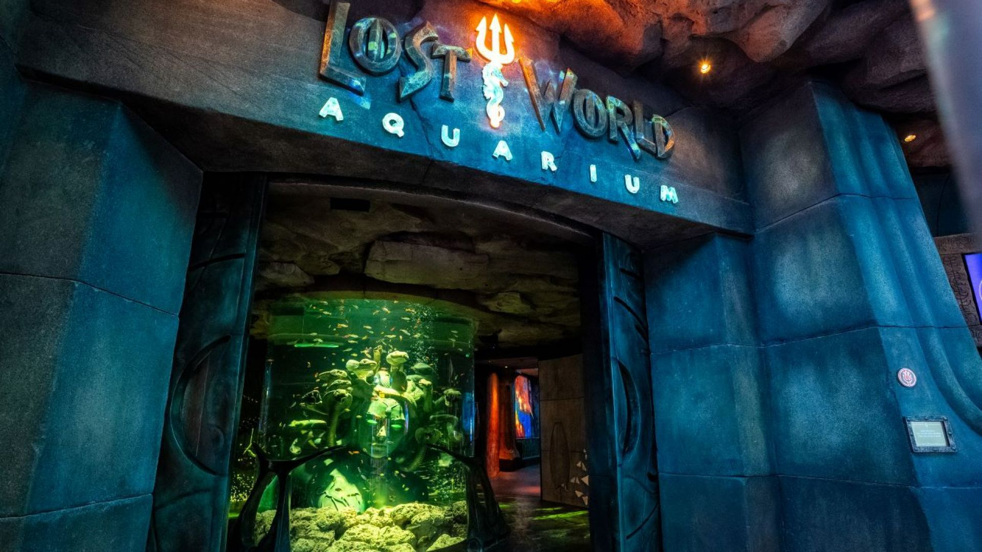 BOGO Aquaventure Superpass – Valid for 2 Guests - (Weekend)