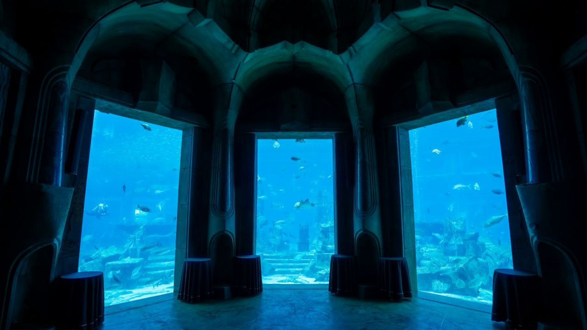 BOGO The Lost World Aquarium - Valid for 2 Guests - API