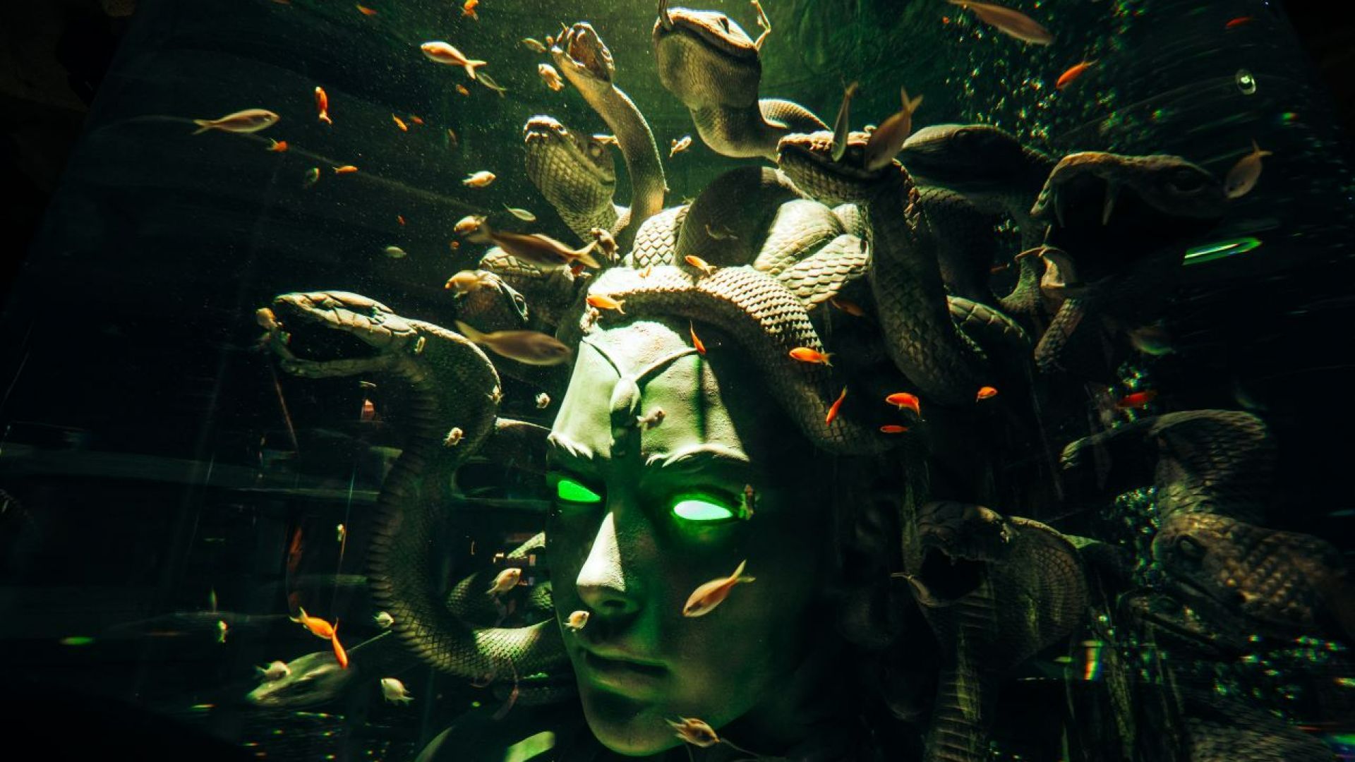 BOGO The Lost World Aquarium - Valid for 2 Guests - API