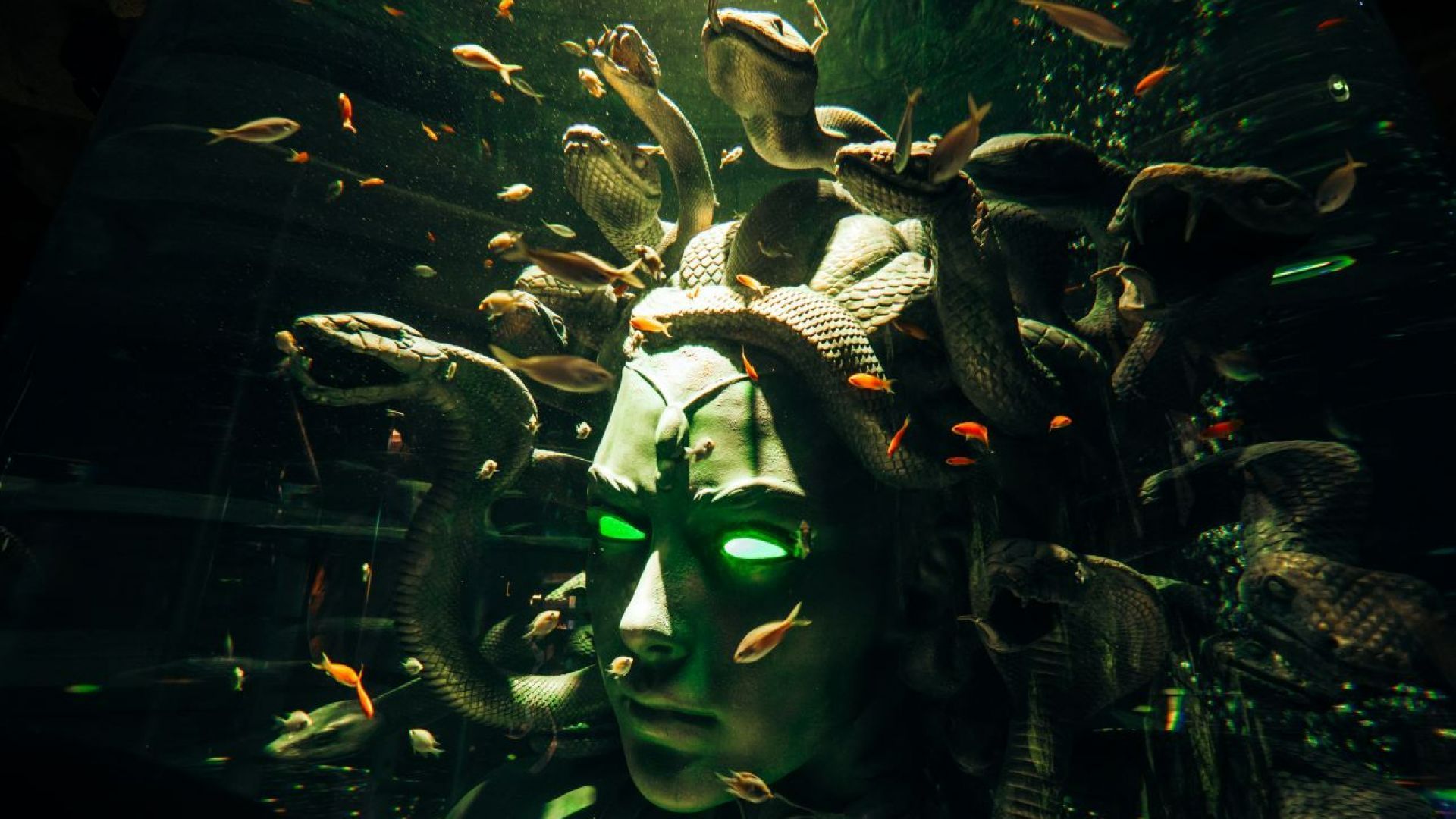 BOGO The Lost World Aquarium - Valid for 4 Guests - API