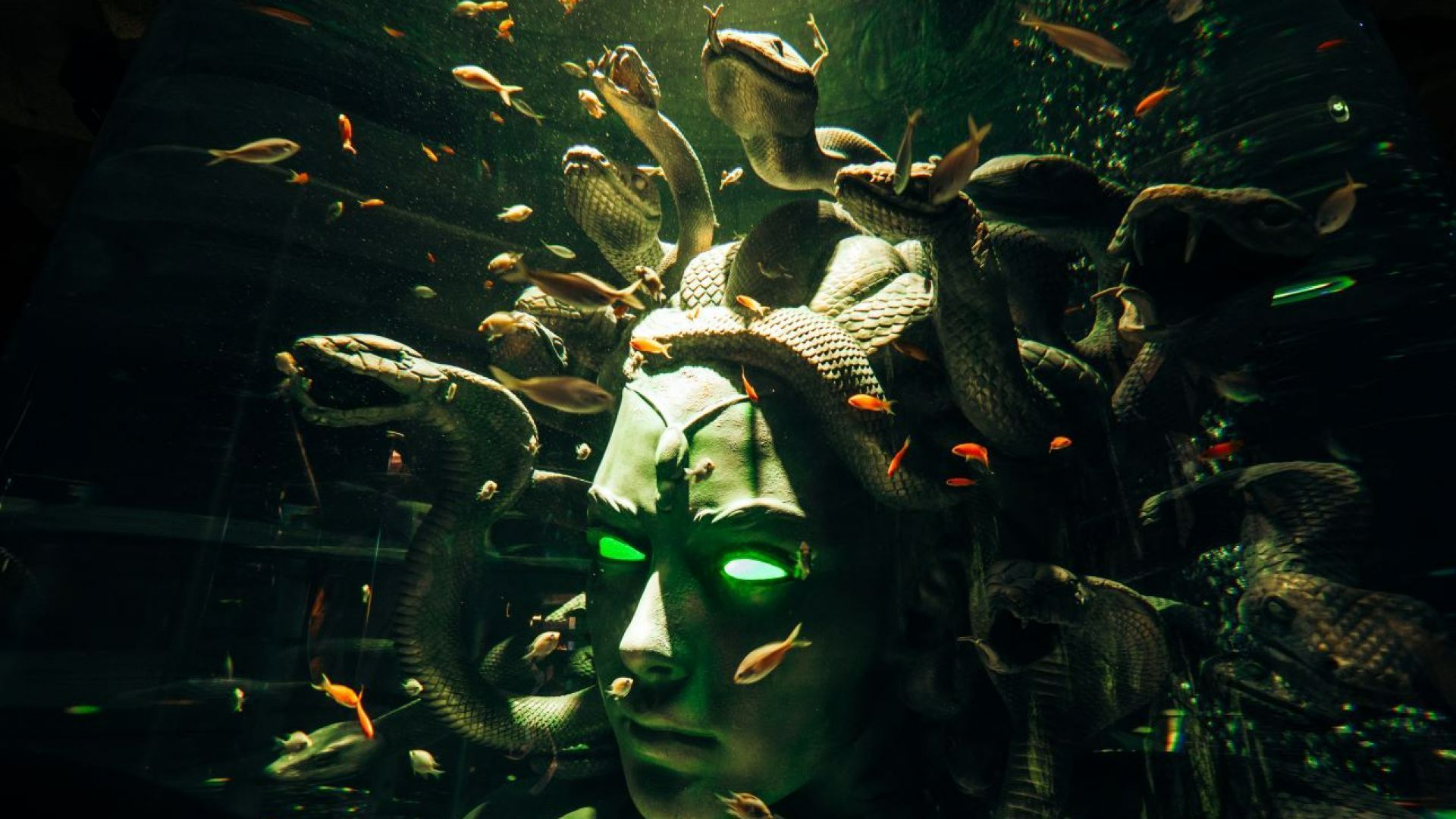 BOGO Aquaventure Superpass – Valid for 2 Guests - (Weekday)