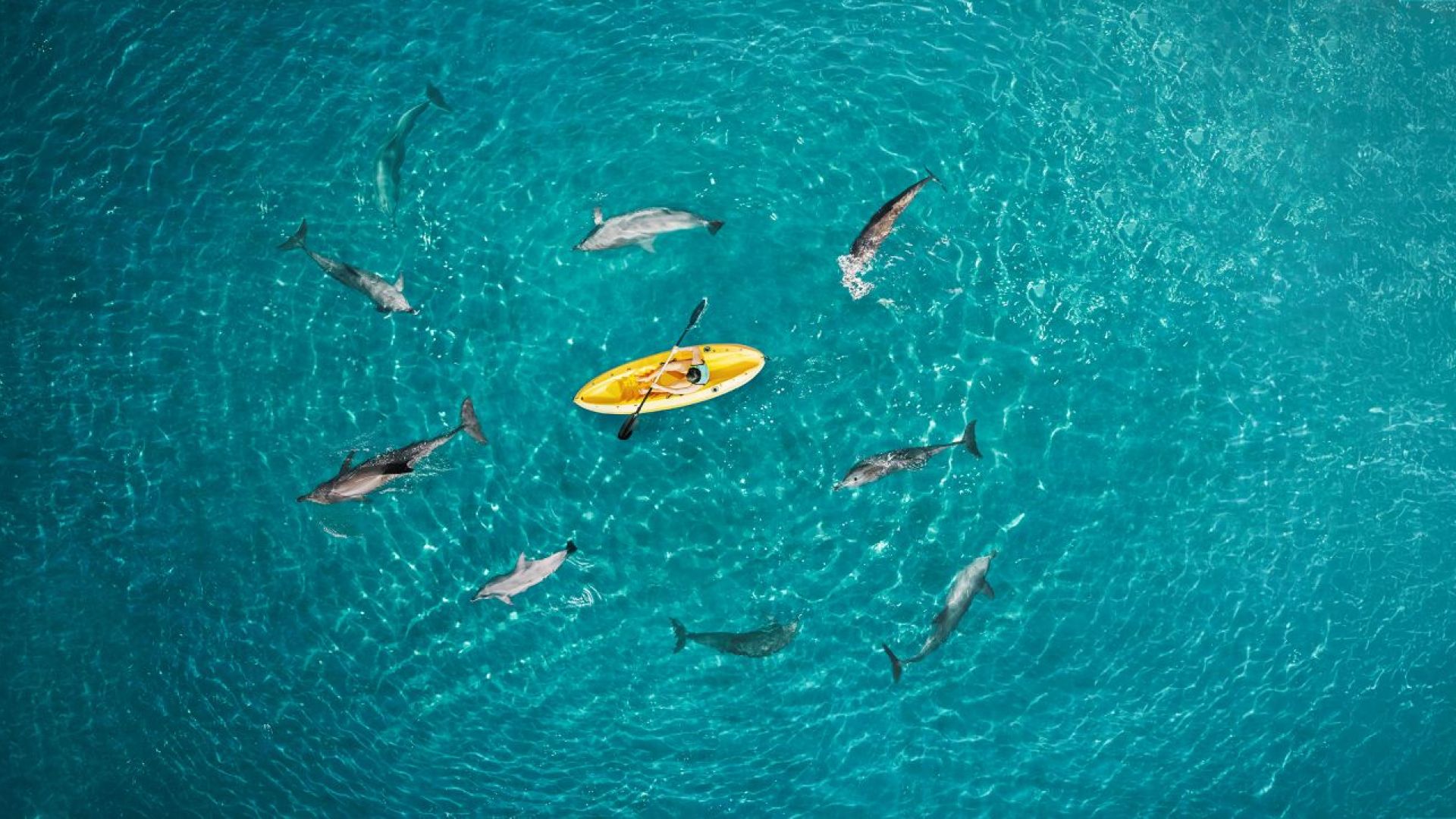 Atlantis Dolphin Kayak