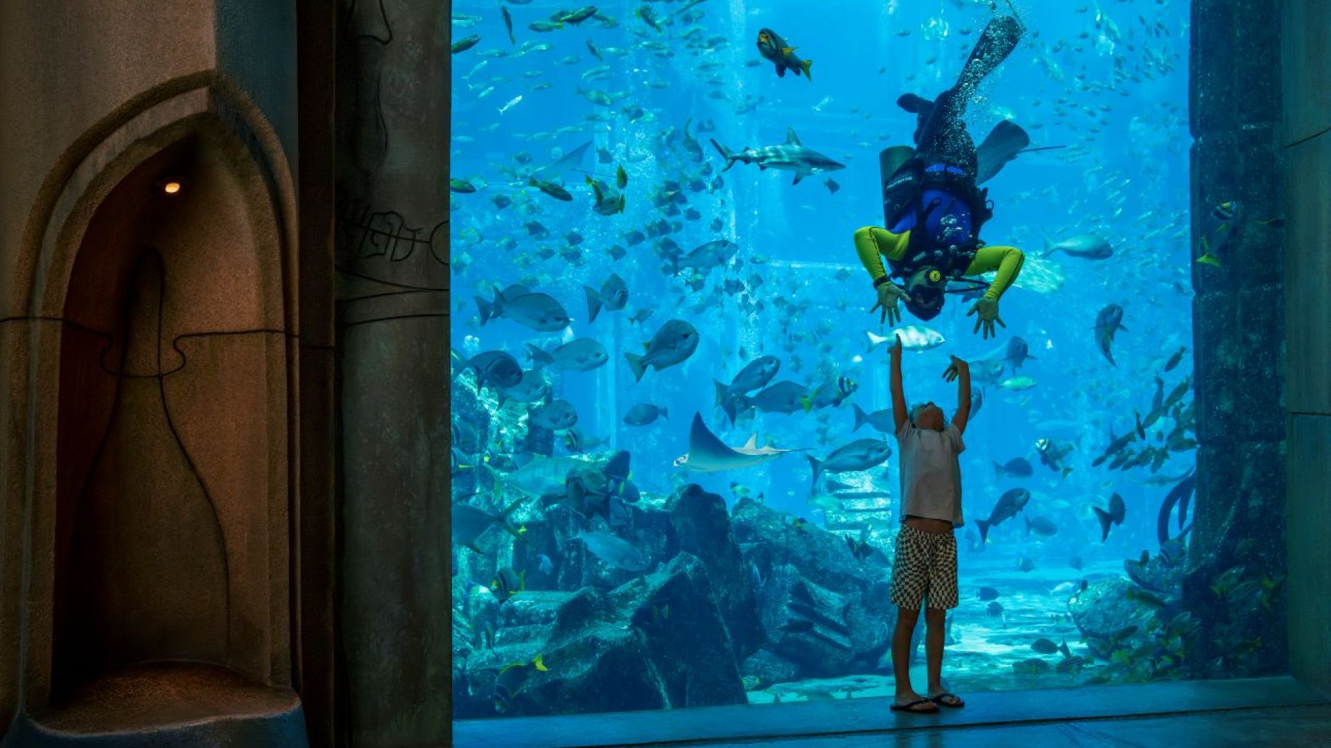 Atlantis Discover Scuba Dive