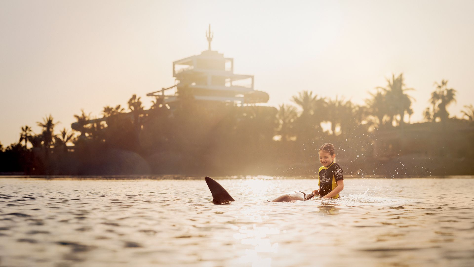 Dolphin Encounter