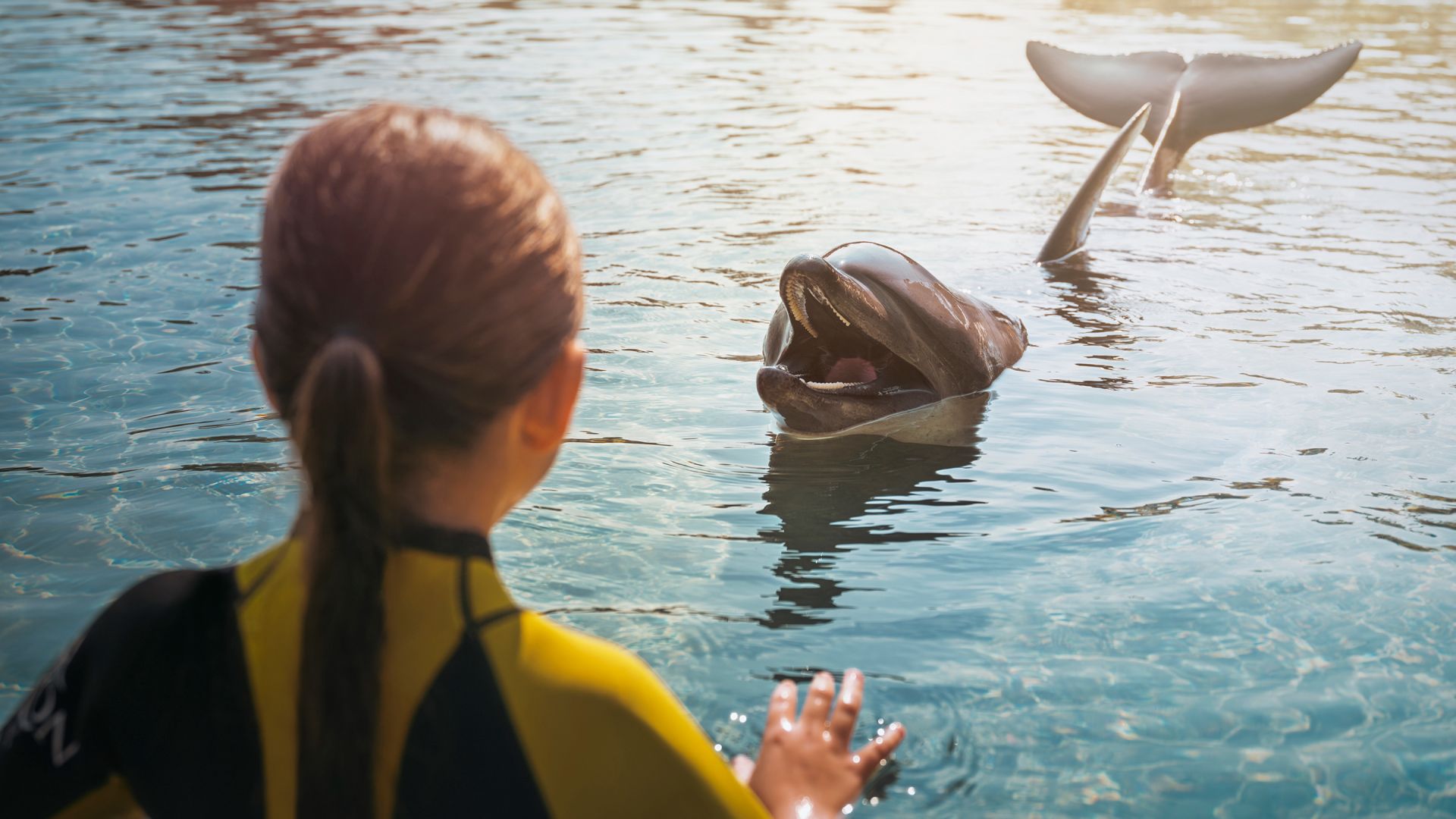 Atlantis Dolphin Encounter