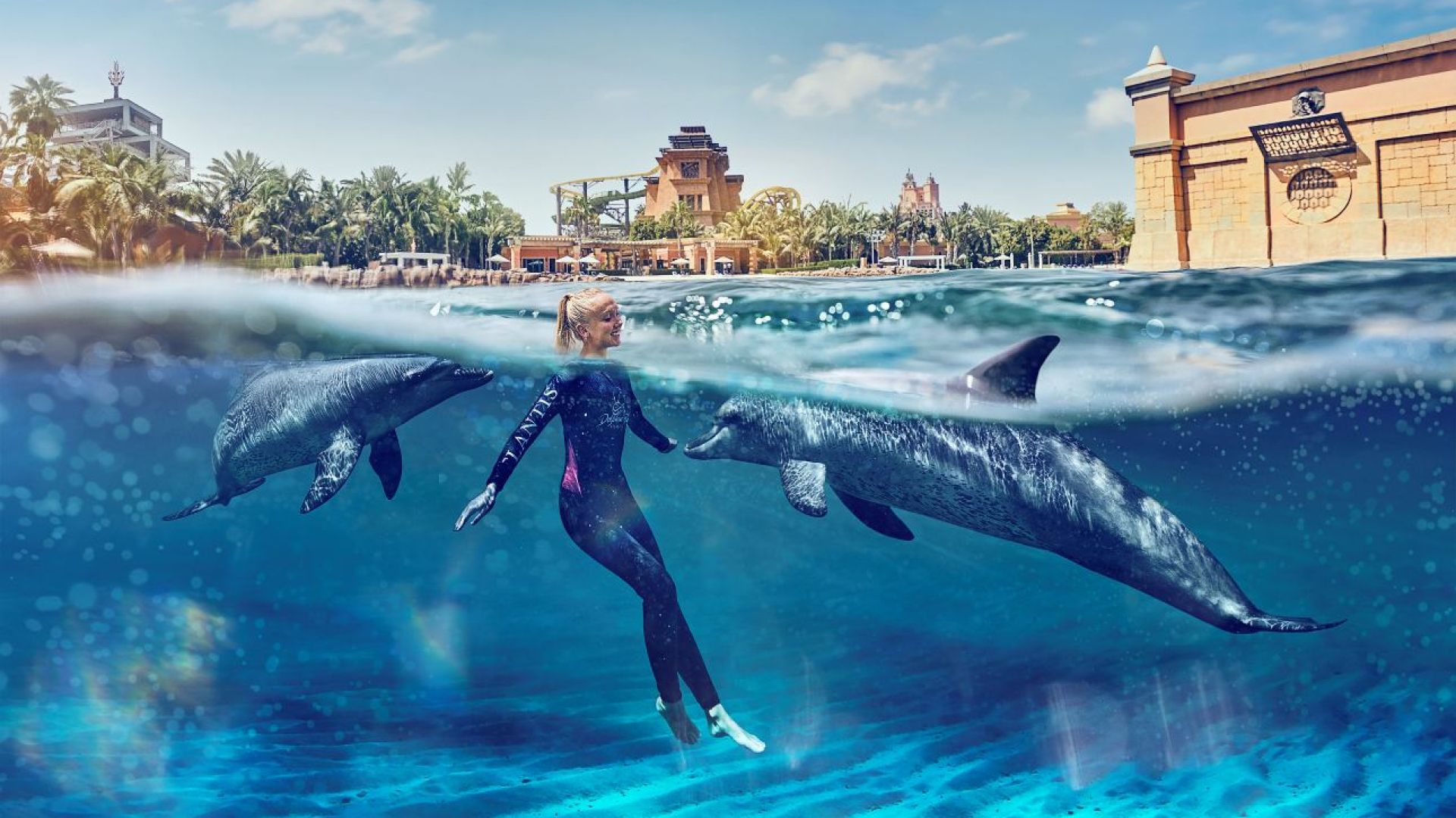 Dolphin Swim Experience at Atlantis