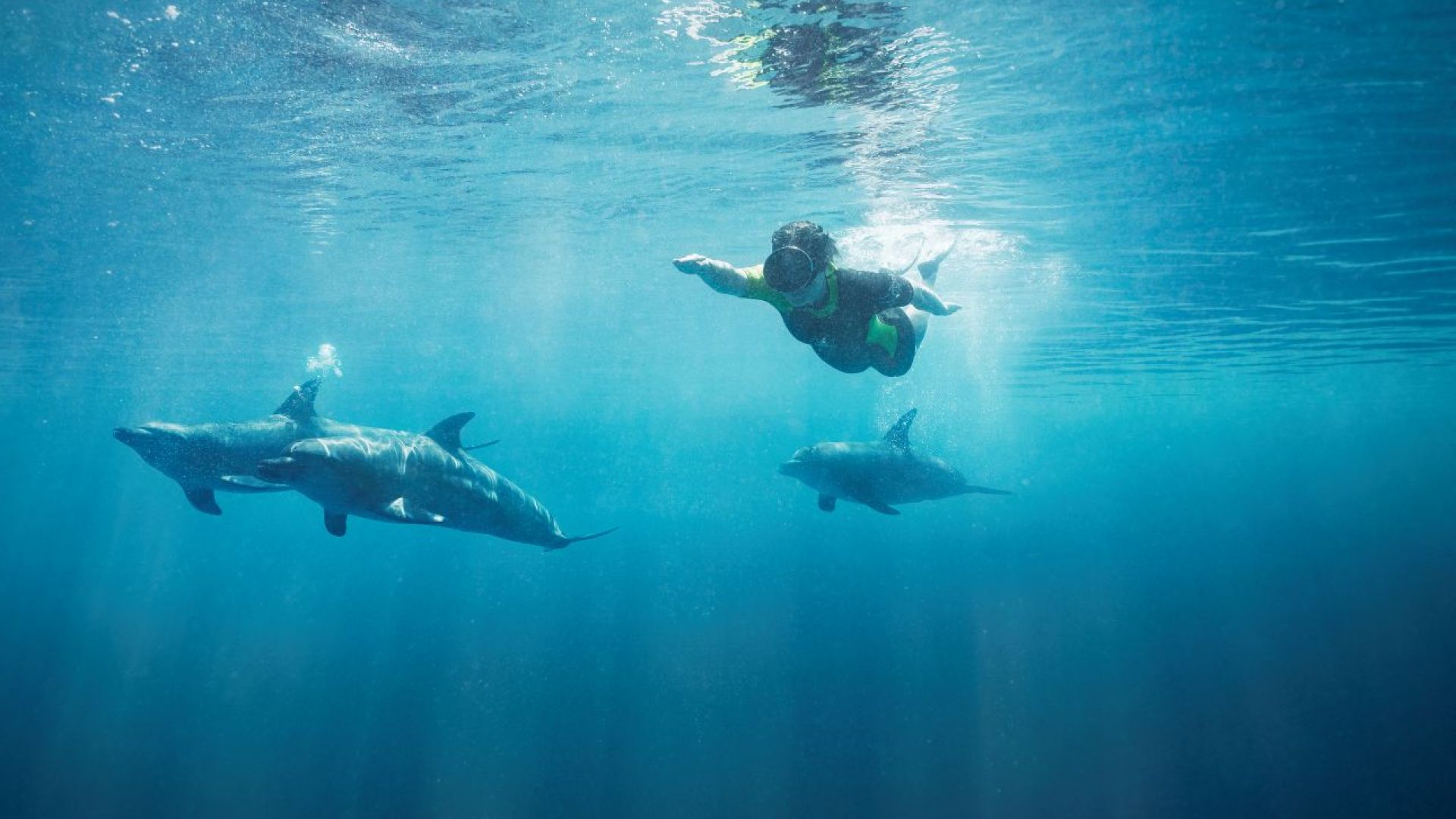 Atlantis Dolphin Swim