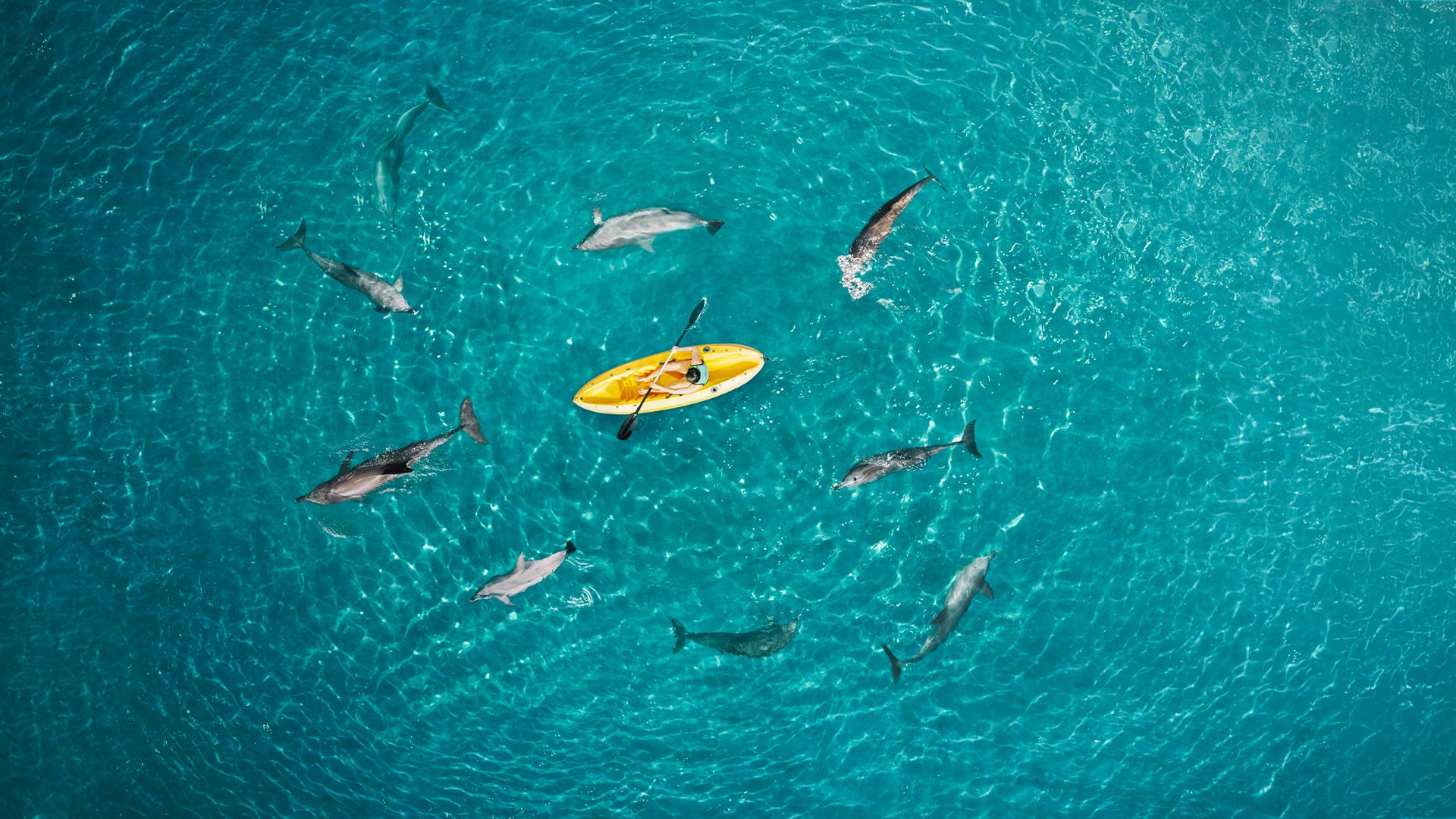 Atlantis Dolphin Kayak