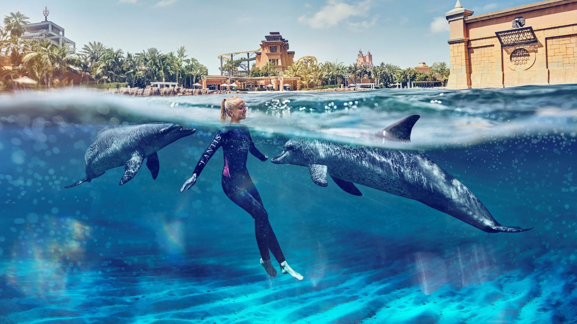 Dolphin Swim for In House guest - Non OTA