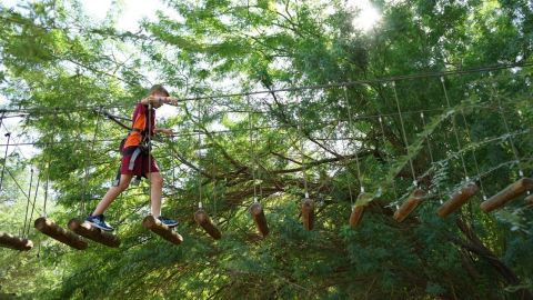 Harnessed Activities - General Admission Children (1.15 M to 1.4 M) 