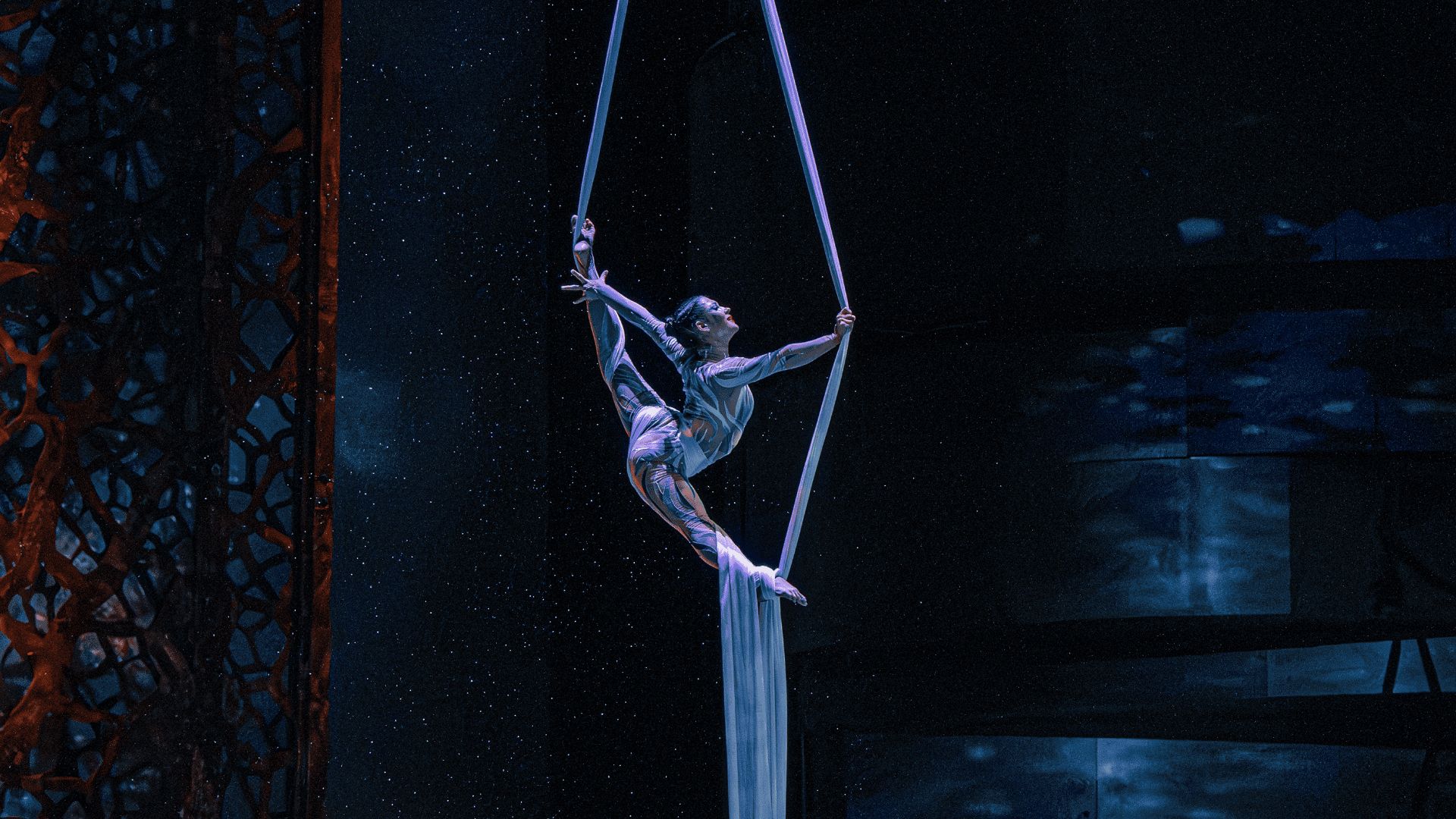 La Perle by Dragone - Book Now