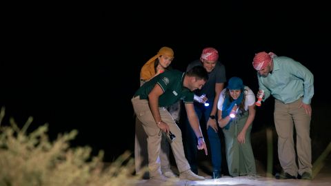 Private Night Safari and Astronomy