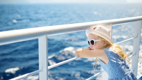 1.5-Hour Hilton Head Island Daytime : Dolphin Boat Tour