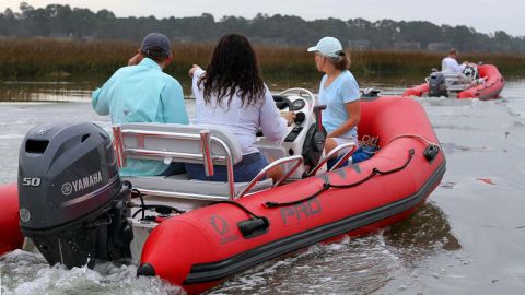 Mini Boat : Dolphin Boat Tour