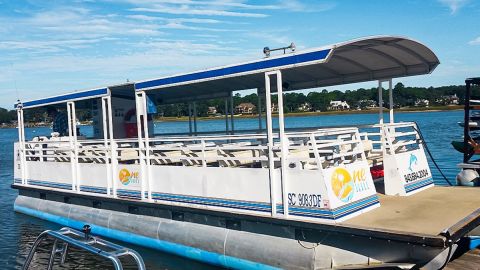 Hilton Head Island : Dolphin Boat Tour