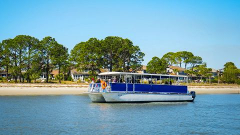 Hilton Head Island : Dolphin Boat Tour