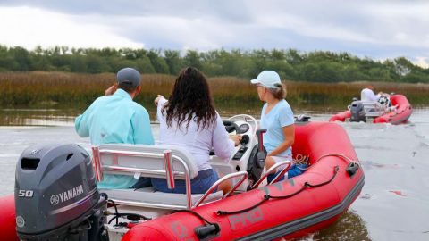 Mini Boat : Dolphin Boat Tour