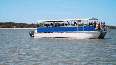 Disappearing Island : Dolphin Boat Tour