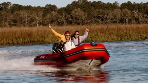 Mini Boat : Dolphin Boat Tour