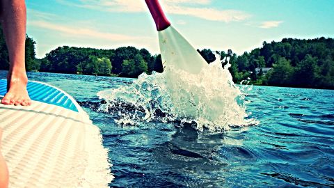 Guided Paddle Board Tour