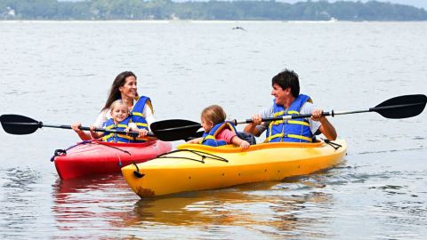 Guided Kayak Tour