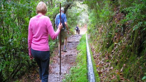 Madeira : Ribeiro Frio / Portela Tour